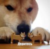 IMG_7017.jpeg